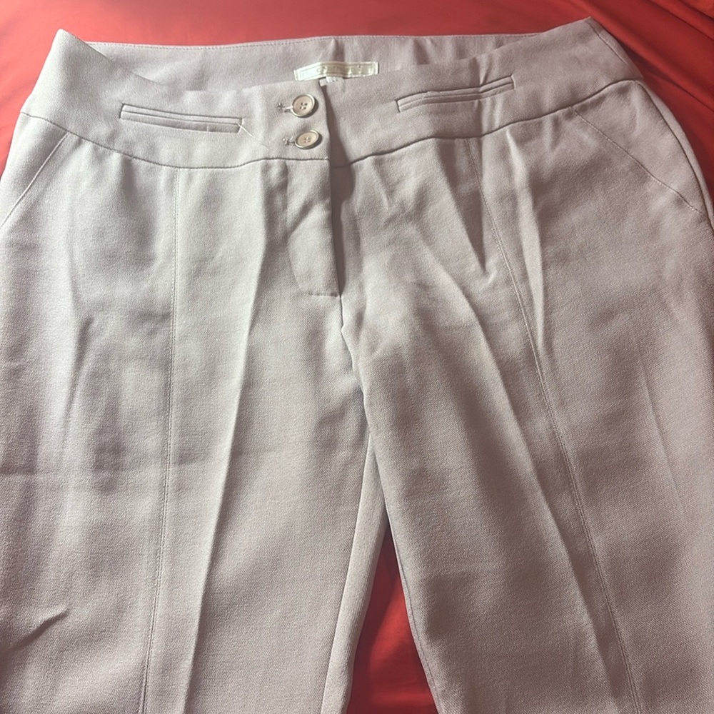 charming dress pants
